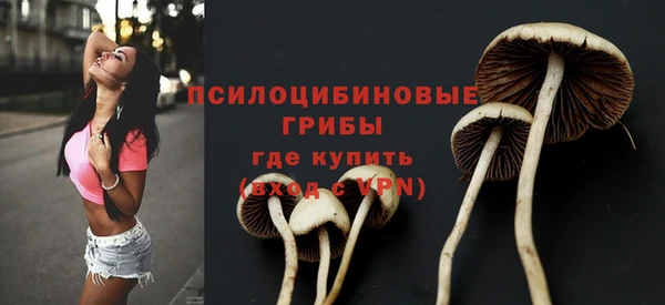 jwh Аркадак