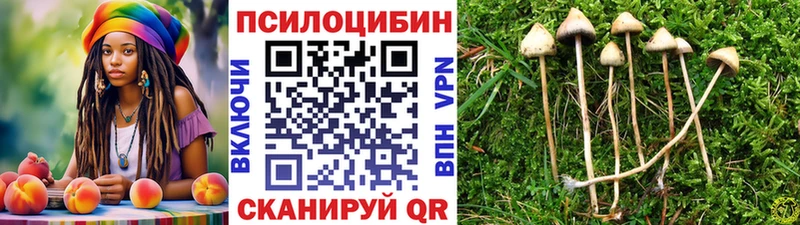 Галлюциногенные грибы мухоморы  kraken ссылки  Щёкино  как найти закладки 