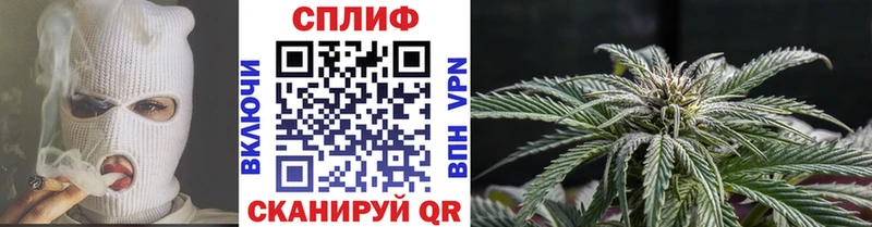 как найти наркотики MEGA как войти Бошки Шишки сатива Щёкино